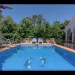 וילה -pool - At 300 מארבלה